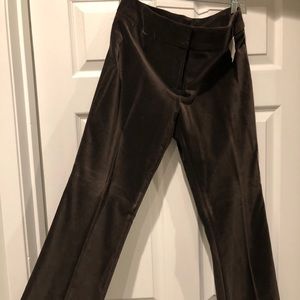 NWT velvet pants Calvin Kline size 8